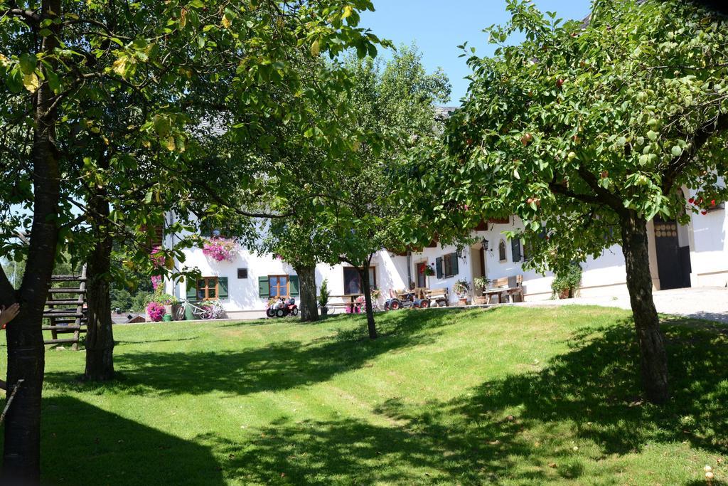 Saint WolfgangWeinbachbauer - Urlaub Am Bauernhof别墅 外观 照片