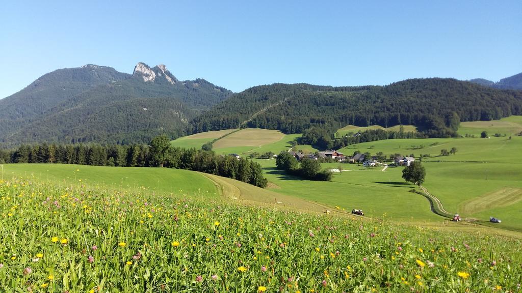 Saint WolfgangWeinbachbauer - Urlaub Am Bauernhof别墅 外观 照片